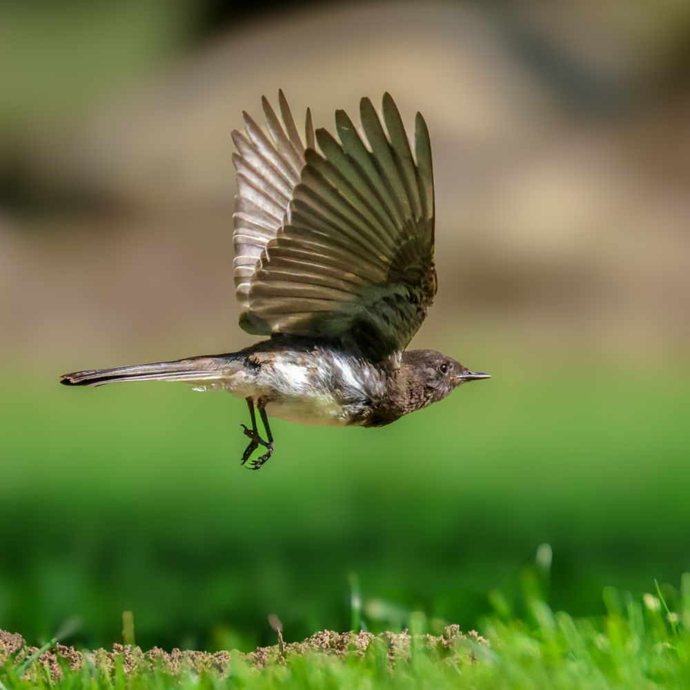 Moments later: take-off
