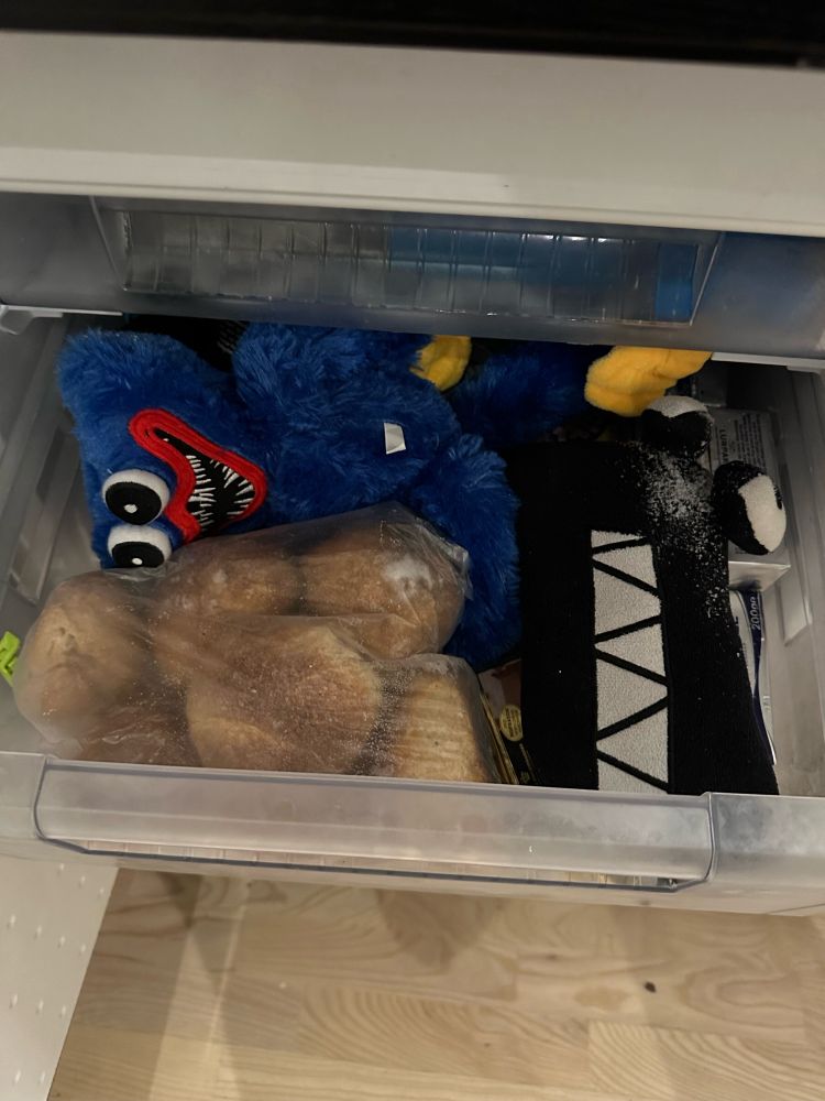 En skuffe i en fryser fyldt med boller og bamser.