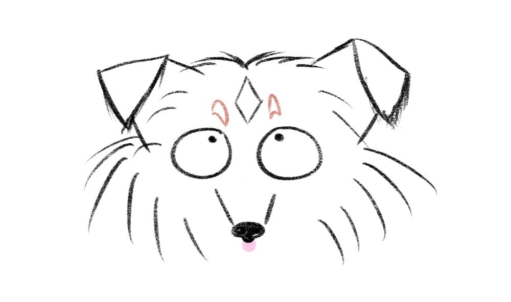 A rough line sketch of a Shetland Sheepdog, staring up with eyes as wide as dinnerplates and tongue just the teensiest bit out.