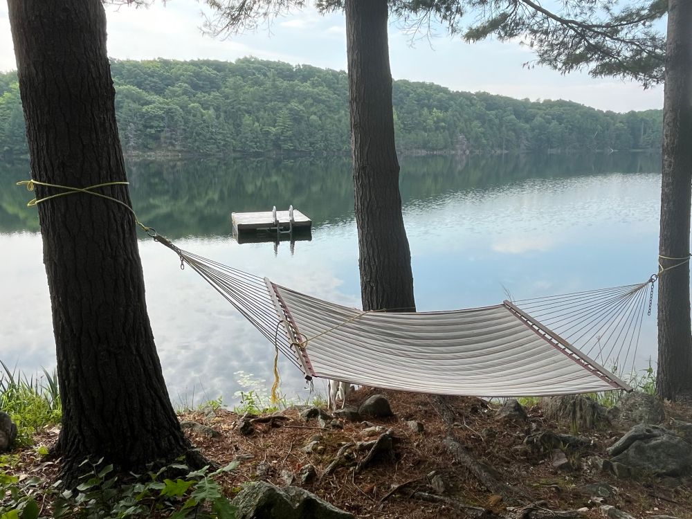 Hammock again, tamaracks again. Lake again. Swimming dock in the distance. 