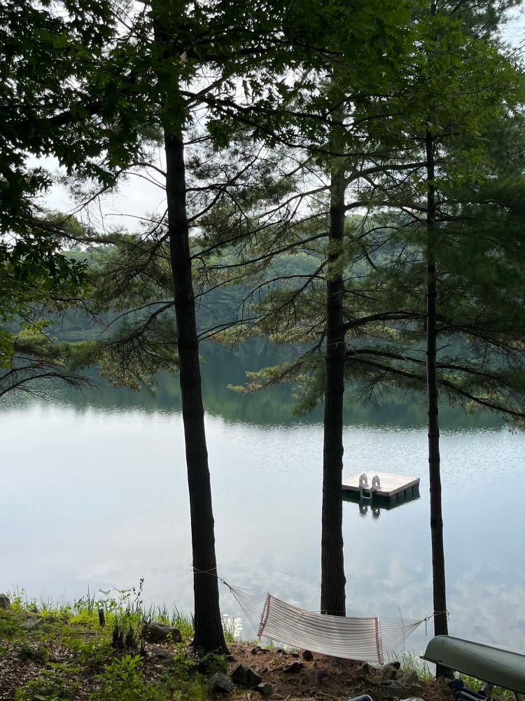 Lake, hammock, tamaracks.