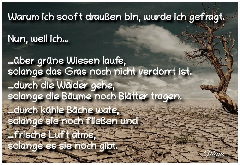Bildbeschreibung: 

Eine verdorrte Landschaft. Auf der rechten Seite steht ein vertrockneter Baum.

Auf dem Bild der Text:

Warum ich sooft draußen bin, wurde ich gefragt.

Nun, weil ich ...

... über grüne Wiesen laufe, solange das Gras noch nicht verdorrt ist.

... durch die Wälder gehe, solange die Bäume noch Blätter tragen.

... durch kühle Bäche wate, solange sie noch fließen und 

... frische Luft atme, solange es sie noch gibt.