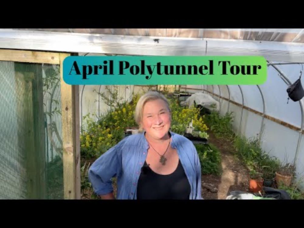 April Permaculture Polytunnel Tour