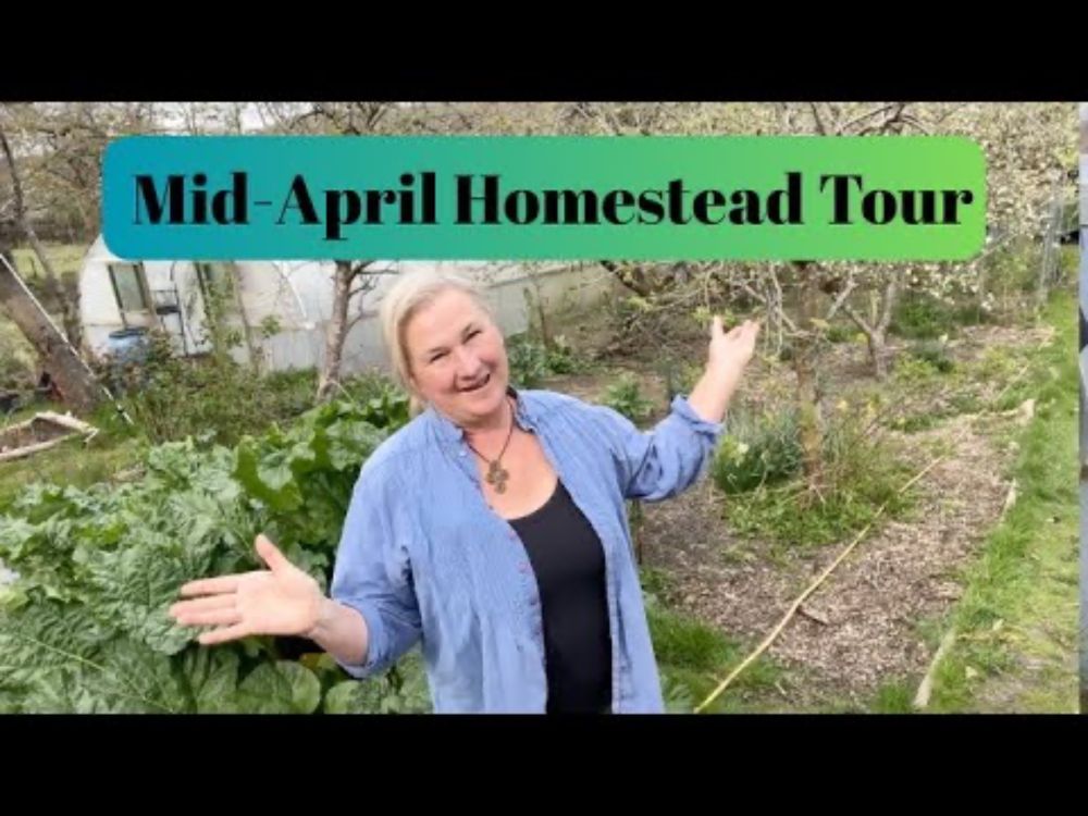 Mid April Homestead Tour