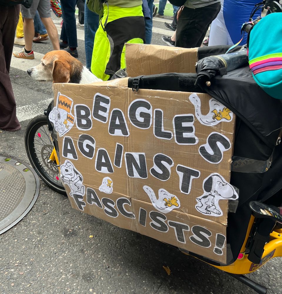A beagle riding in the front of a bike cart that has a protest sign on the side. The sign says “BEAGLES AGAINST FASCISTS!” and is decorated with images of Snoopy, that famous beagle, expressing anger and his bird friend Woodstock flitting about. 