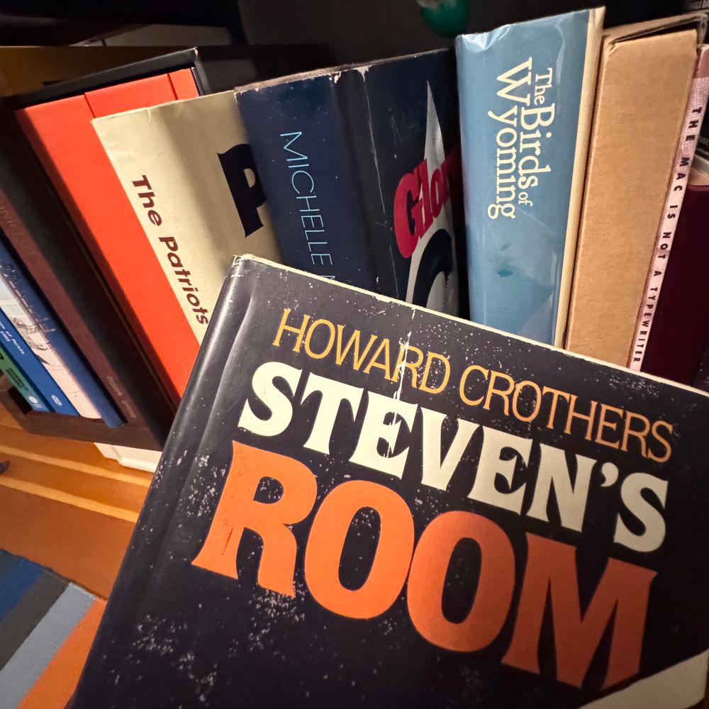 Four hardcover books, three are on a shelf and one is being held in the foreground. The foreground book is “Steven’s Room” by Howard Crothers. The background books are The Patriots by Donald Anderson, Glory by Michelle MacManus, and The Birds of Wyoming. All four books are prop replicas of books from the video game “Firewatch.”