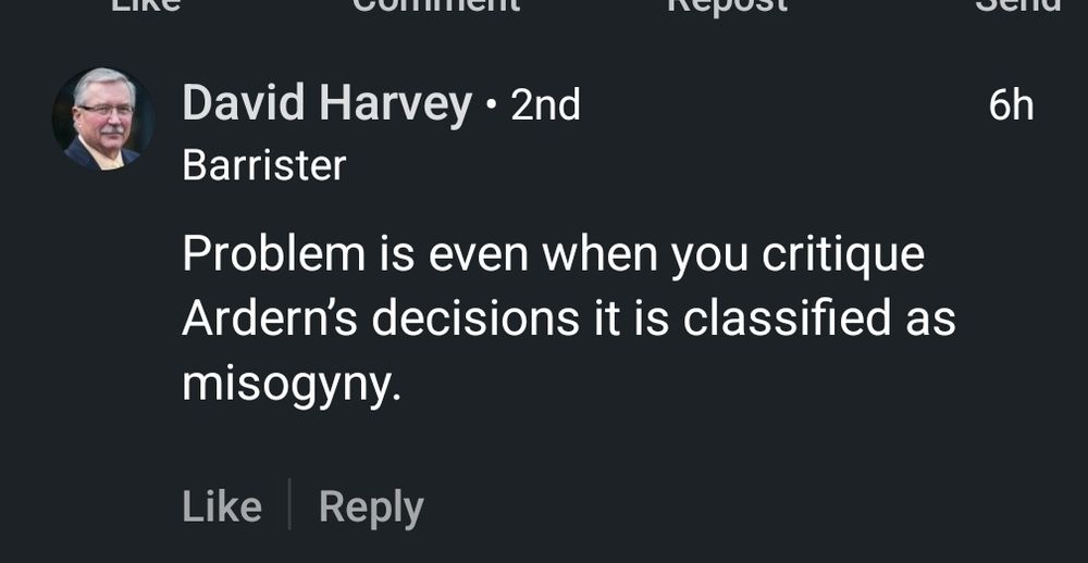 Comment from retired Judge David Harvey "problem is even when you critique Ardern’s decisions it is classified as misogyny"