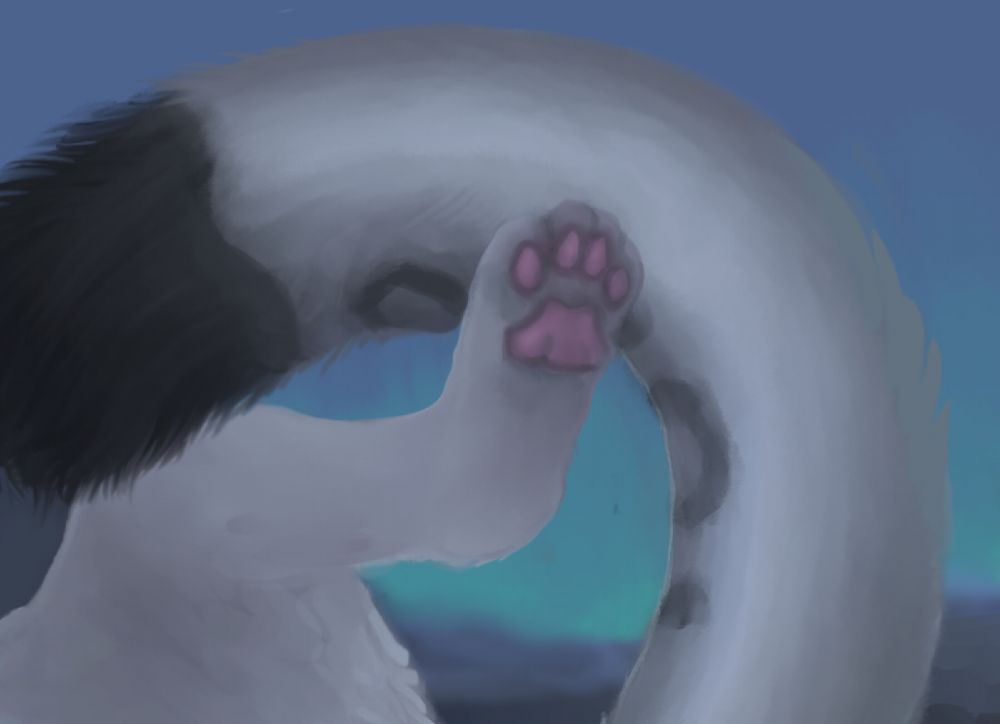 A WIP closeup of a snow leopard chakat toe beans. Some of the tail is in-frame behind the paw. 

#furryart #WIP #beans 