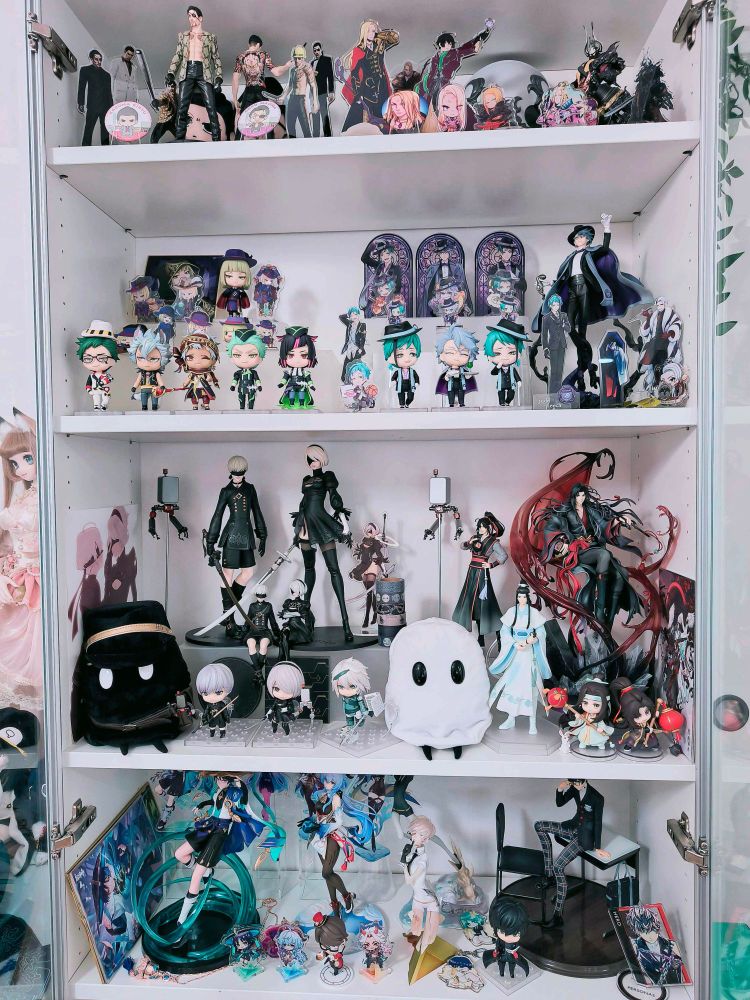 cabinet with many anime figures