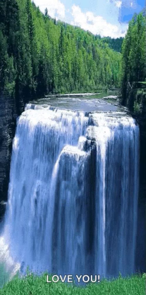 a waterfall is surrounded by trees and the words love you are below it