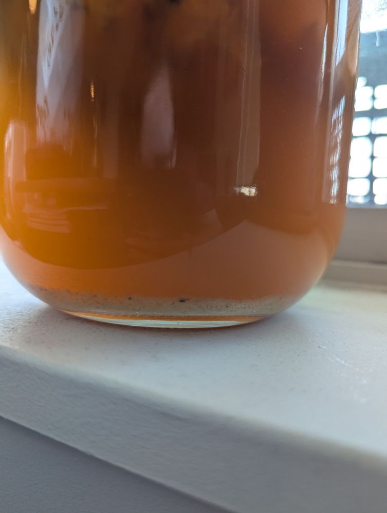 Image of the bottom of a large jar of tepache (a Mexican drink made from fermenting pineapple rind with a brown sugar solution). A light brown sediment layer of yeast is visible on the very bottom of the jar.