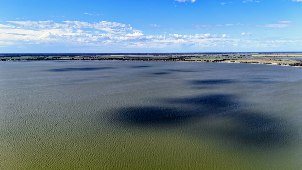 A wide aerial view of Lake Boga in Victoria, showcasing its expansive, rippling surface under a mostly clear sky. The water shimmers in varied shades of green and blue, subtly textured by wind and shadow. In the distance, a flat rural landscape stretches to the horizon—fields interspersed with clusters of trees hint at agricultural use and natural preservation. Wisps of cloud drift overhead, adding depth to the serene sky. The composition captures the lake’s vastness and the quiet harmony between water, land, and sky, evoking a sense of openness and calm.