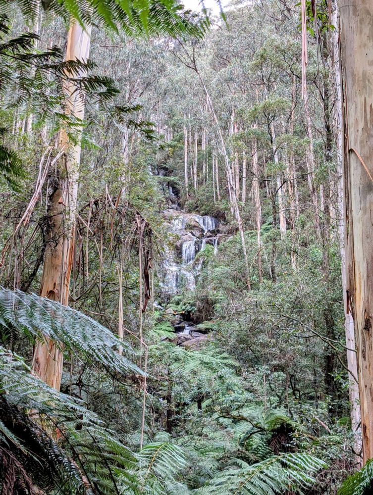 A picturesque waterfall cascades down a rugged rock face, surrounded by dense green foliage. The sunlight filters gently through the trees, illuminating the mist created by the rushing water.