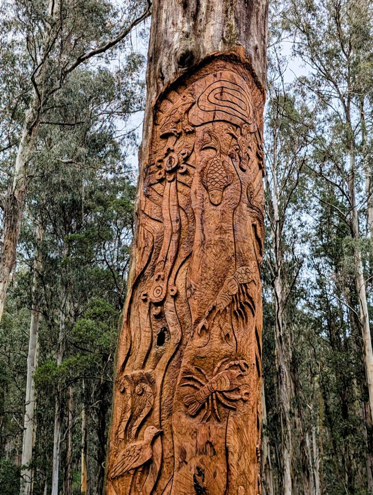 A richly detailed tree trunk stands in a forest clearing, its bark intricately carved with symbolic figures of animals such as a river trout, fresh water crayfish, lyrebird and frog, along with abstract patterns. The surrounding trees and filtered light through the foliage add a serene, natural ambiance to this outdoor artwork. 