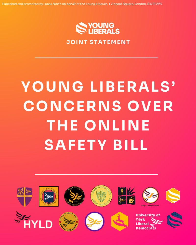 Young liberals' concerns over the online safety bill