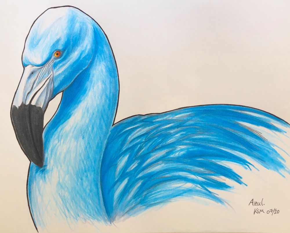 Closeup (head and neck) drawing of a blue flamingo