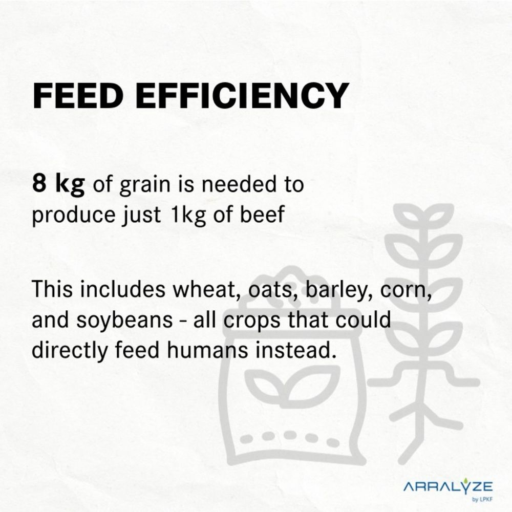 And information graphic of the feed efficiency for 1 kg of beef. The text on the graphic states: 8 kg kilogram of grain is needed to produce just 1 kg of beef. This includes wheat, oats, barley, corn, and soy beans - all crops that could directly feed humans instead.