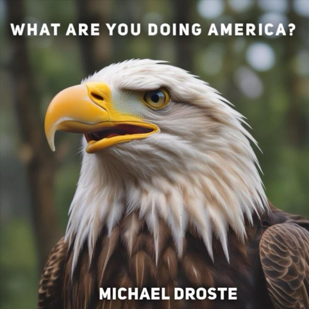 What Are You Doing America? - Single by Michael Droste on Apple Music