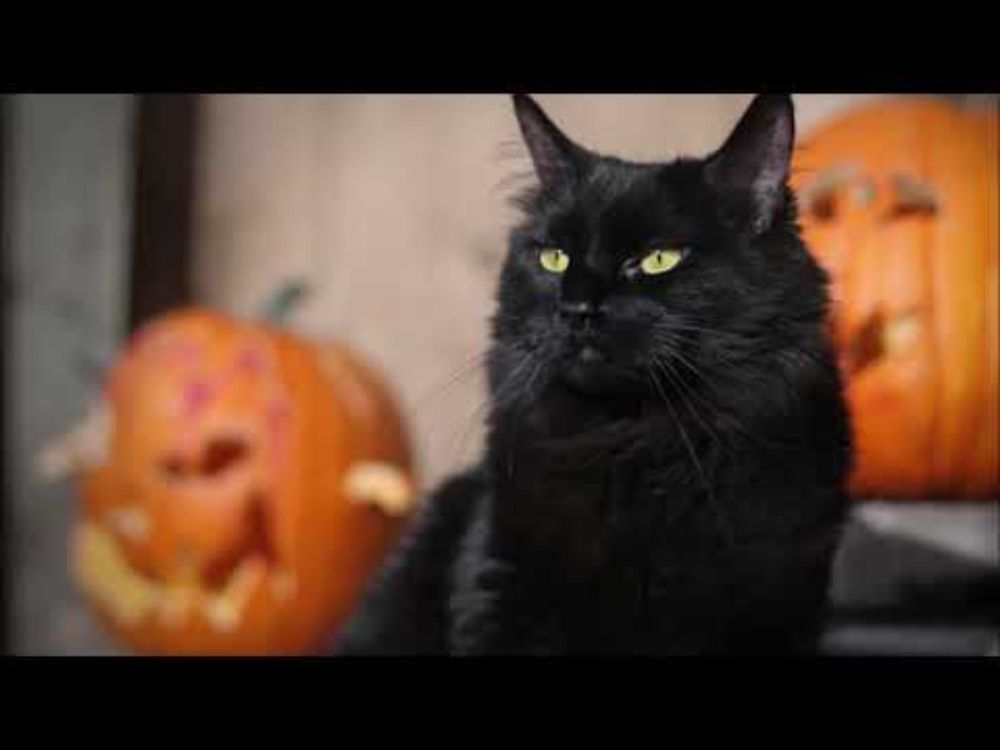 Samhain