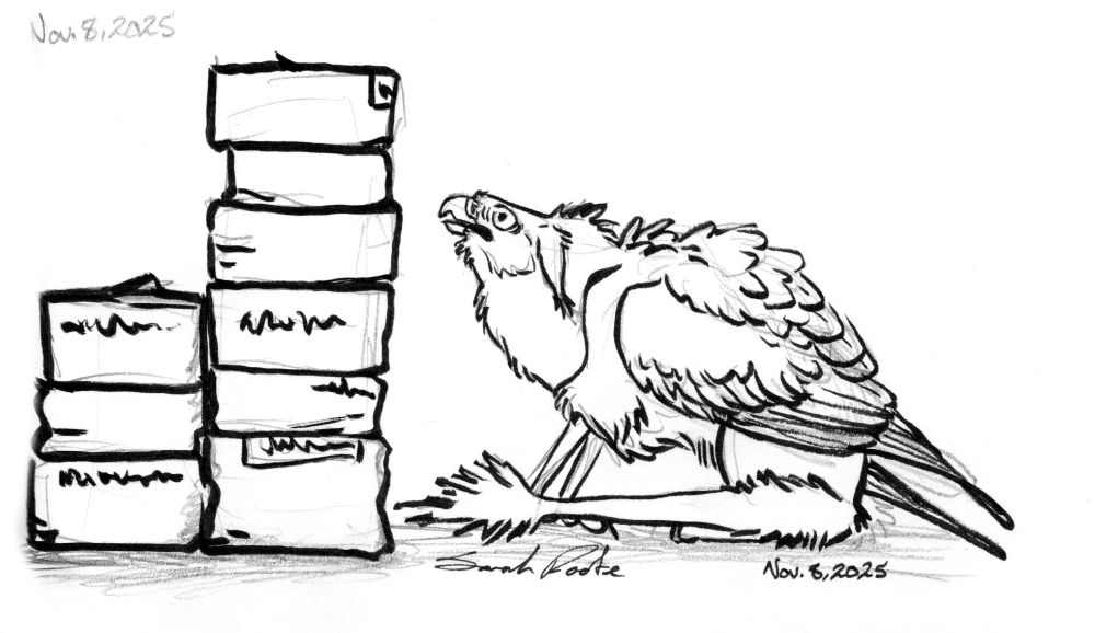 A worried looking gryphon staring up at a stack of boxes.