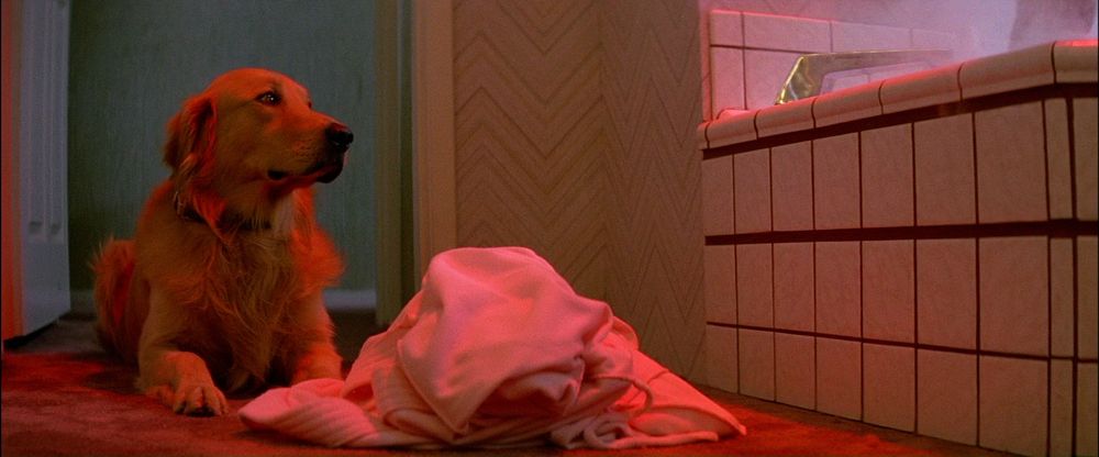 Poltergeist (1982) — Tobe Hooper
Horror