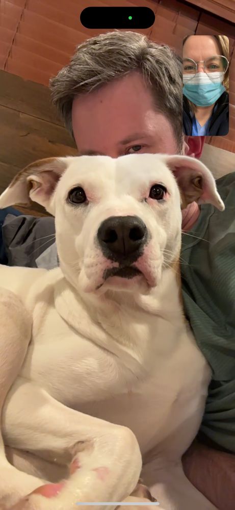 Screenshot of me talking to my husband and dog