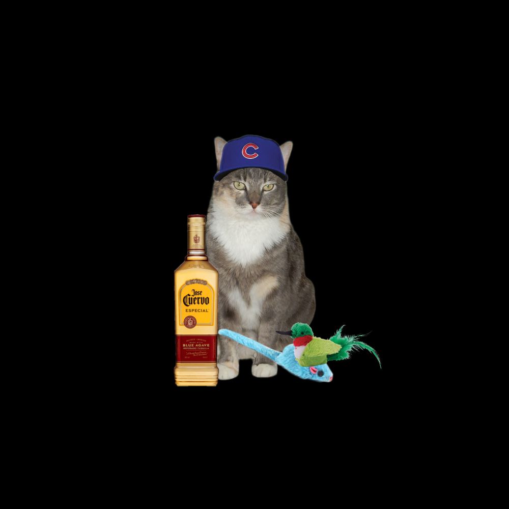 Sophie in Cubs cap with Jose Cuervo and toys
