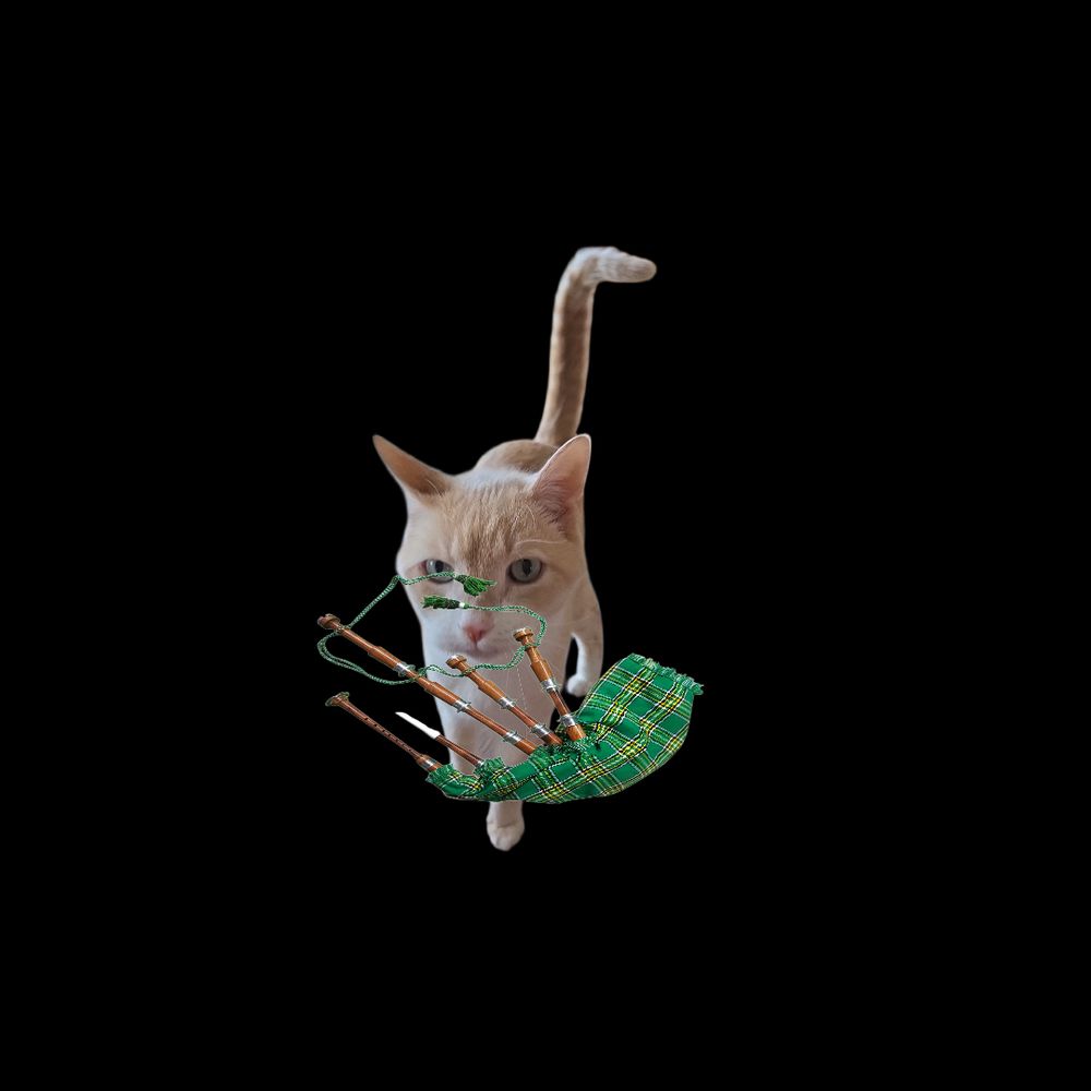 Orange tabby cat with bagpipes