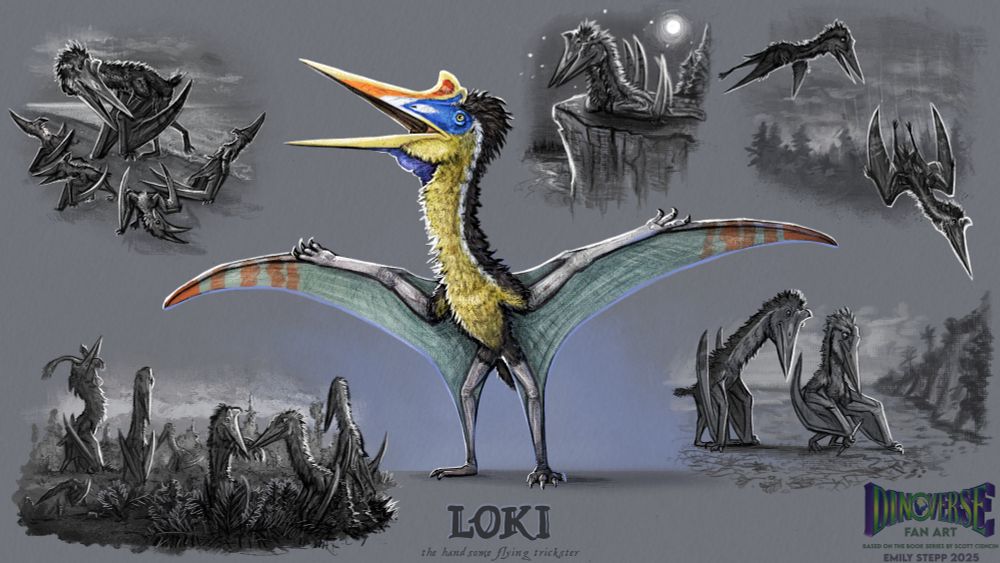 Digital concept sheet of the adolescent male Quetzalcoatlus known as "Loki" from Taliesaurus' fan adaptation of the first Dinoverse novel. He is rearing up in a display in the main colored render. Around the sides are behavior sketches showing his trickster yet kind to Janine attributes. 