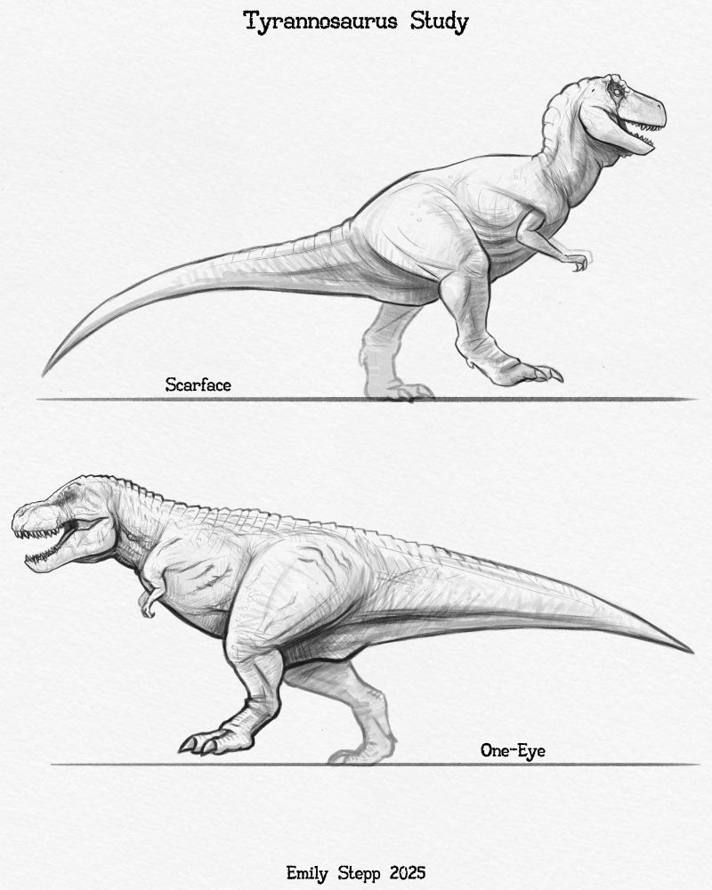 Scarface from Land of the Lost 1991 and One-Eye from Dino King / Speckles: The Tarbosaurus design study commissioned by DracoTyrannus digital grayscale pencil style sketches with Scarface facing right and One-Eye facing left to show each of their damaged eyes.