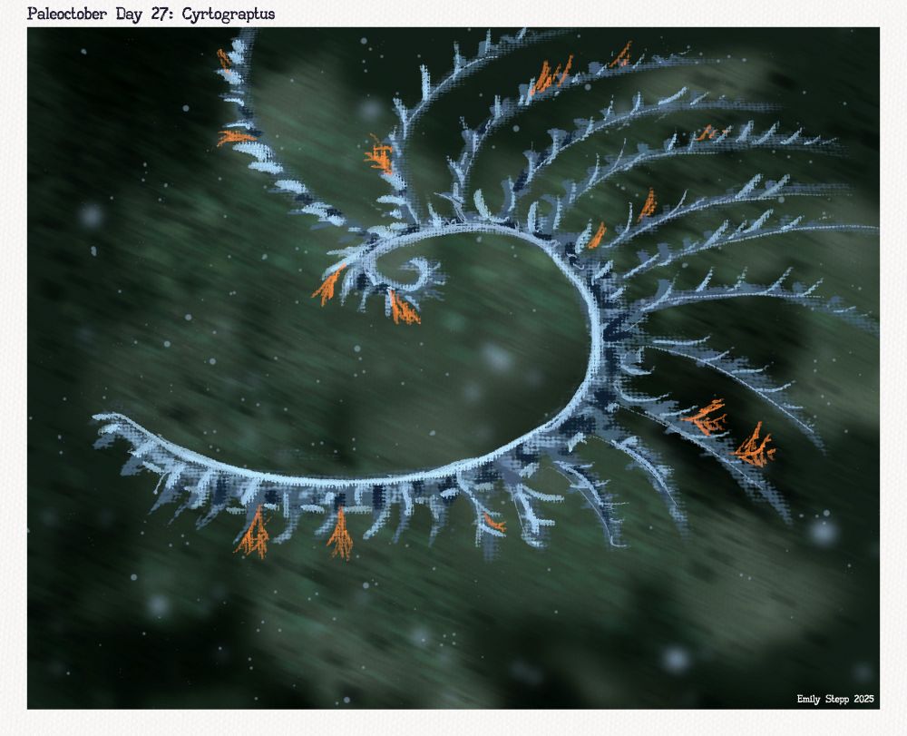 Sketch of the grapolites floating above the ocean floor. 