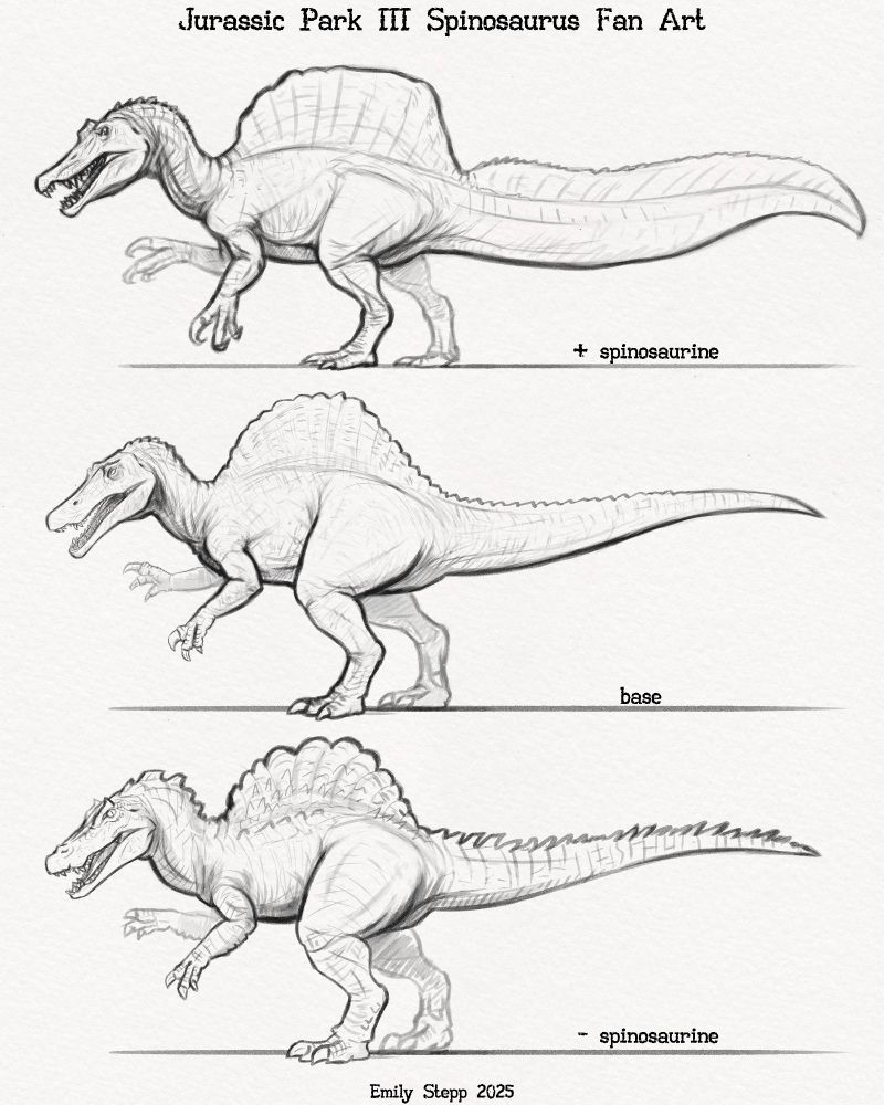 Digital pencil style sketches of the Spinosaurus from Jurassic Park 3's base design in the middle and on top with more spinosaurine DNA and on the bottom with less. The top one has more modern features like sail shape and tail sail. The less one has more crocodilian features. 