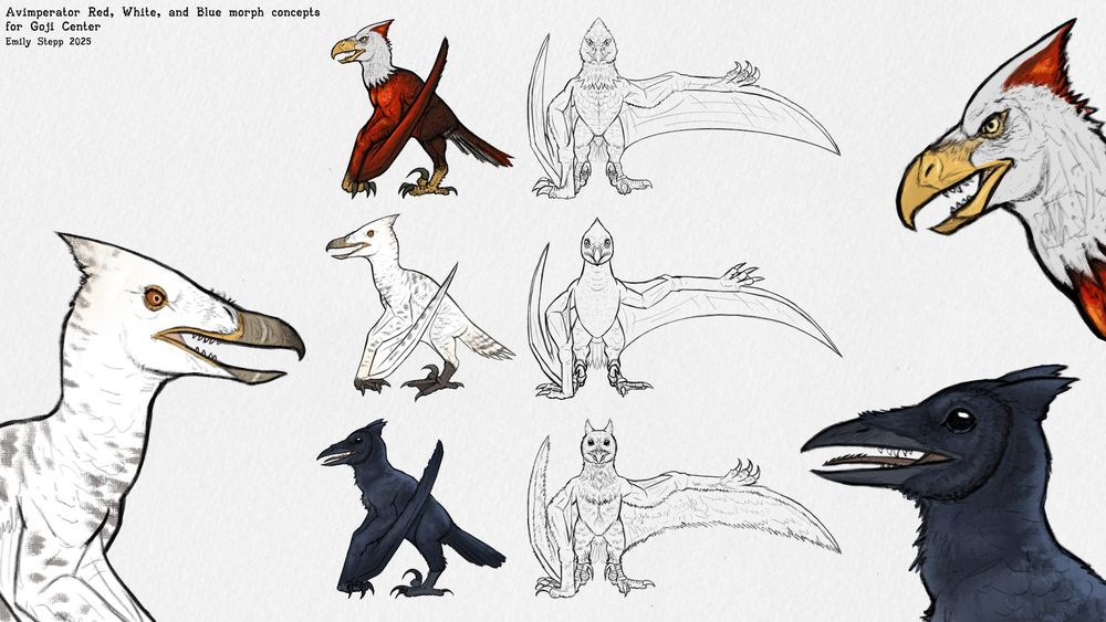 The hybrids in flat profile with their colorations and line sketches facing forward with closeups of the heads on the sides. 