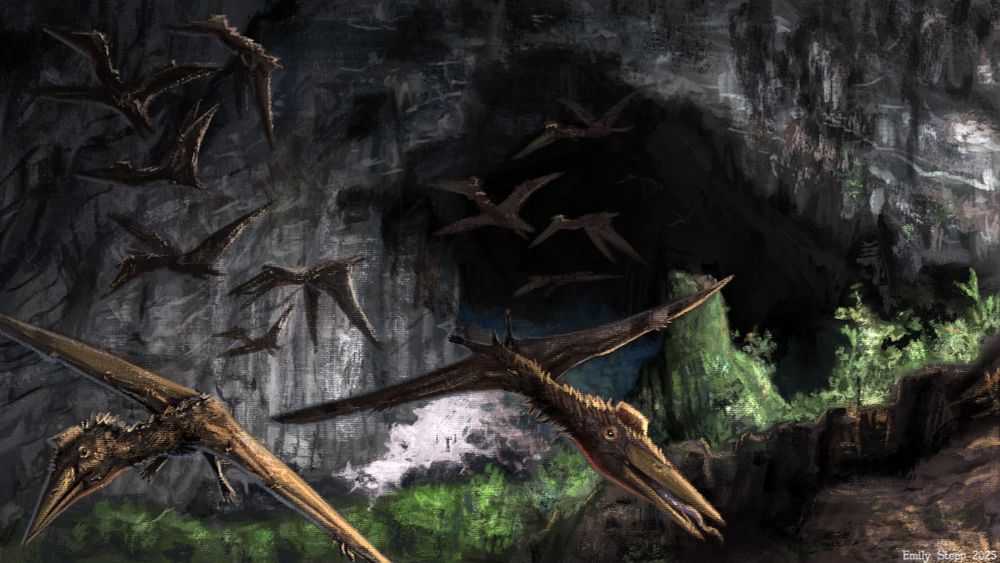 Speedpaint featuring a flock of quetzalcoatlus fleein from Vietnam's Son Doong Cave based on the story 'Glooscap' from Primitive War Dispatches Volume II - The Psalms of Xipetotec. 