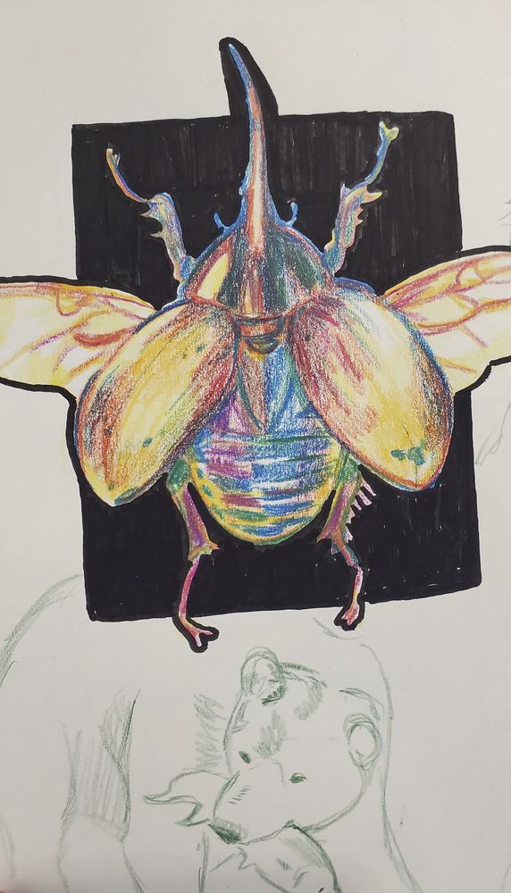 A photo of a sketchbook page featuring a wax pastel drawing of a hercules beetle and a green colored pencil sketch of a bear with a fish in its mouth.