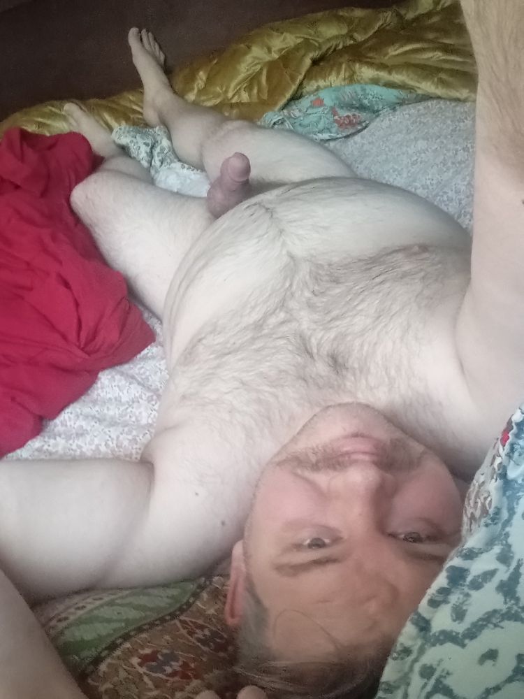 Beary fellow lying naked in bed with an erect cock