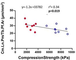 Graph showing a statistically significant decreasing relationship between the amount of cement line per unit area and the compression strength of the adjacent vertebra.