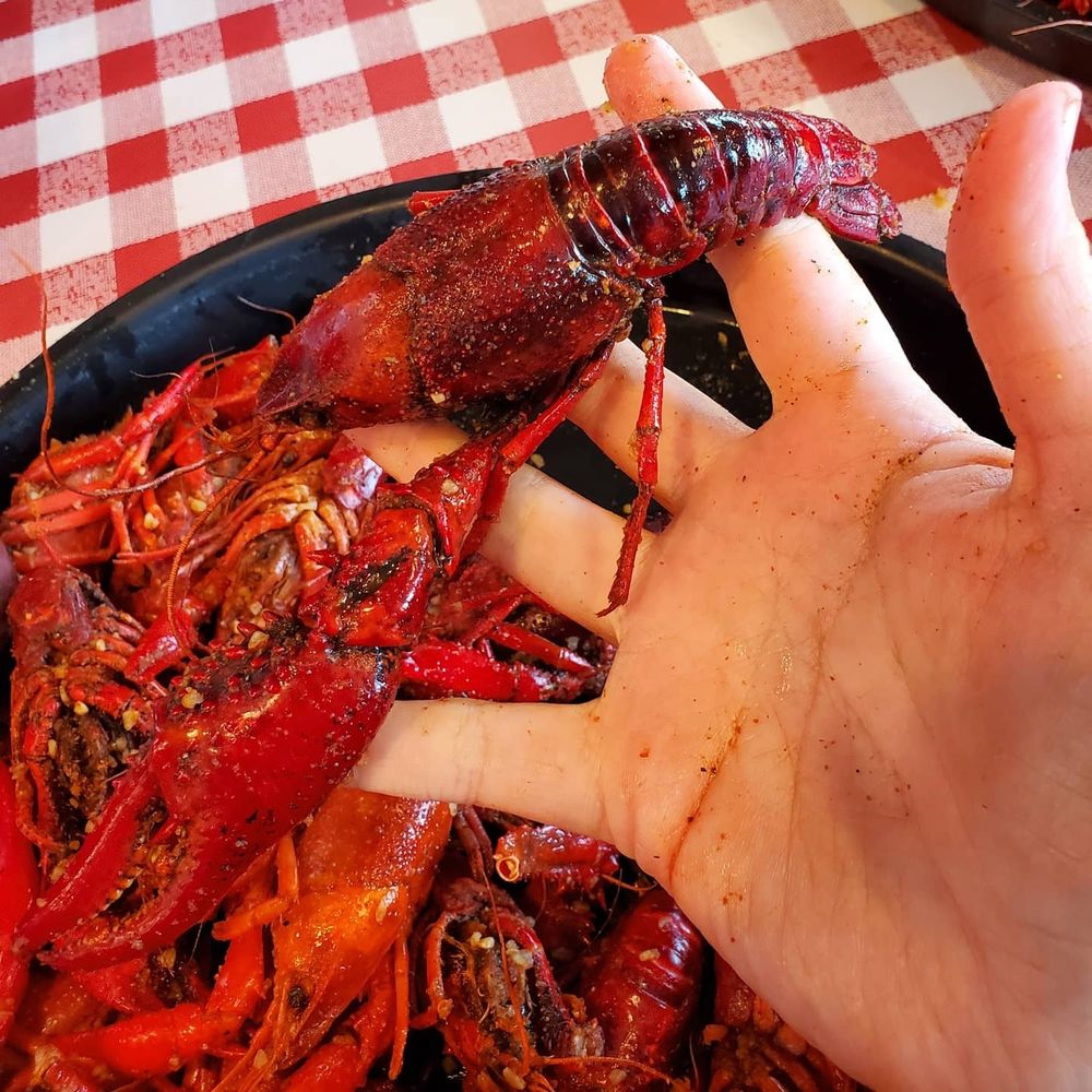 Mais dat is a boiled crawfish, sha. (picture is a hand holding a bright red boiled crawfish over a plate of crawfish with very visible seasoning)