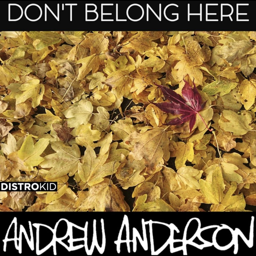 Don't Belong Here by Andrew Anderson