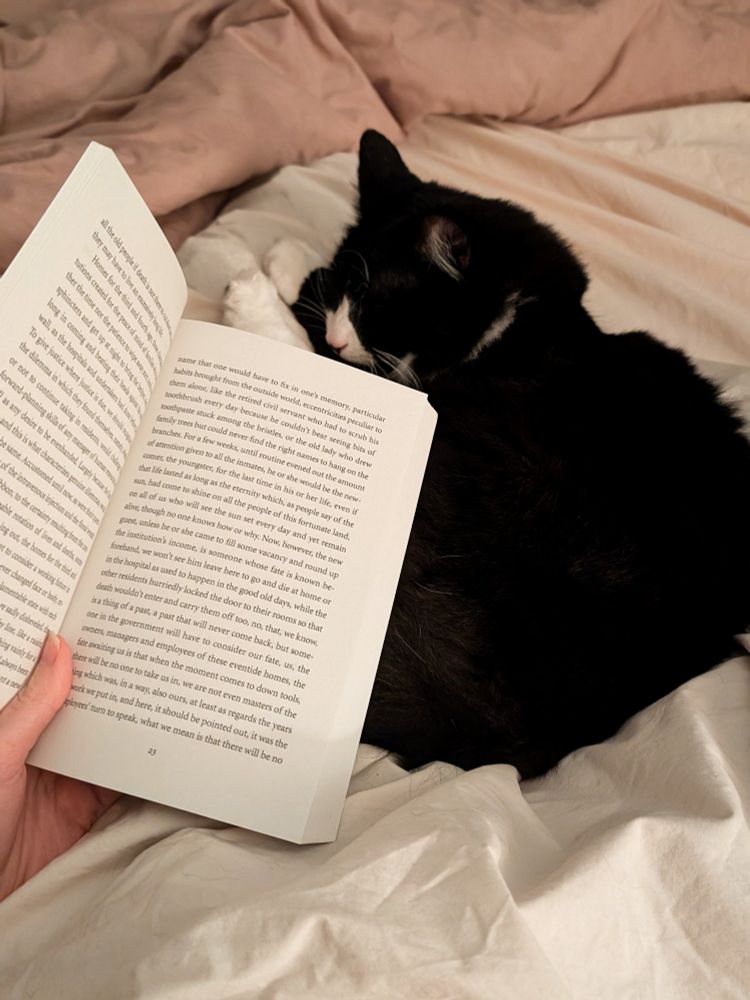 Book held open with a black and white cat curled up in lap