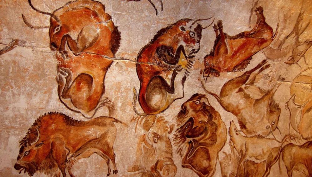 Grotte d'Altamira : bisons réfutés