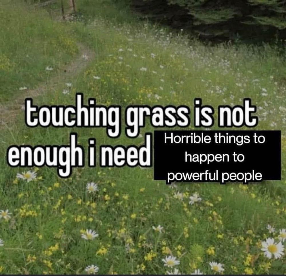 A wellness meme with an image of a meadow that reads “touching grass is not enough, i need horrible things to happen to powerful people”