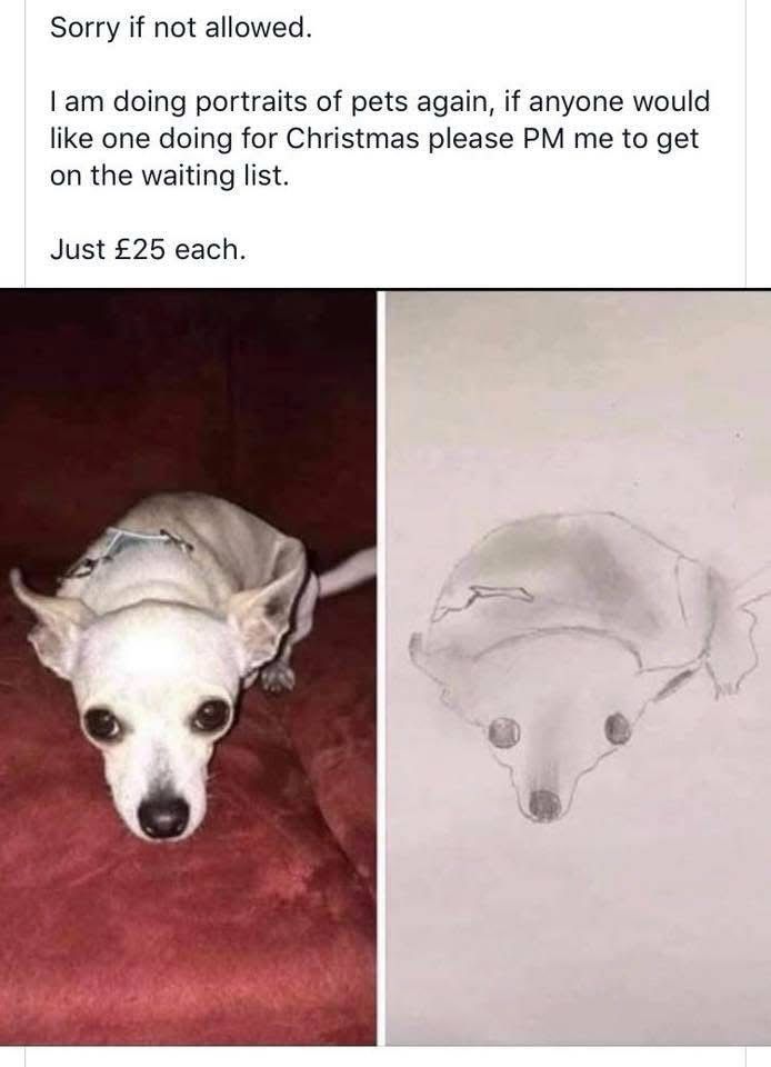 Sorry if not allowed. I am doing portraits of pets again, if anyone would like one doing for Christmas please PM me to get on the waiting list. Just £25 each. On the left is a photo of a dog and on the right is the shittiest childlike doodle of the same dog