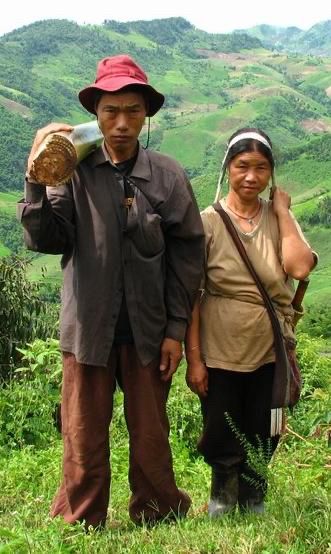 From Wikipedia: Akha couple in northern Thailand. The husband is carrying the stem of a banana-plant, which will be fed to their pigs.