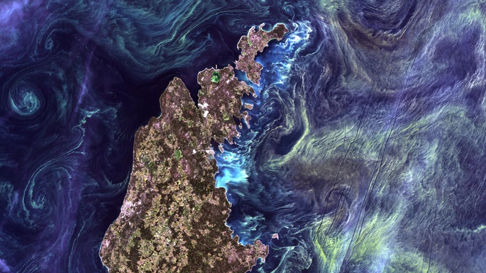 Eine Satellitenaufnahme, die eine Insel zeigt, die von verschiedenfarbigen Meeresströmungen umgeben ist.