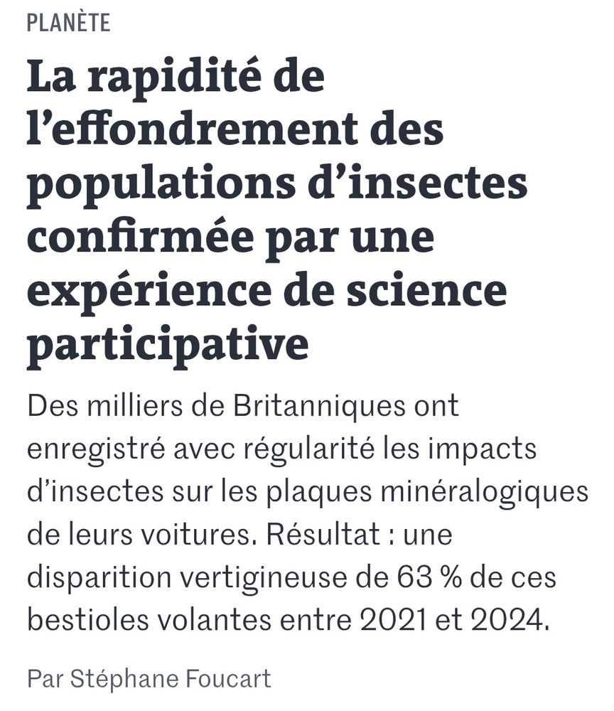 La rapidité de l’effondrement des populations d’insectes confirmée par une expérience de science participative
Des milliers de Britanniques ont enregistré avec régularité les impacts d’insectes sur les plaques minéralogiques de leurs voitures. Résultat : une disparition vertigineuse de 63 % de ces bestioles volantes entre 2021 et 2024.
Par Stéphane Foucart
