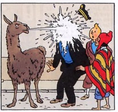 BD Tintin avec le lama qui cache sur le capitaine