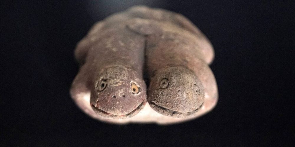 Clay figurine depicting two toads joined side by side, with rounded bodies and simple carved features. The toads have slightly smiling faces and wide-set eyes, giving them a stylized, almost playful appearance. The surface shows signs of age and wear, with an earthy brown tone.