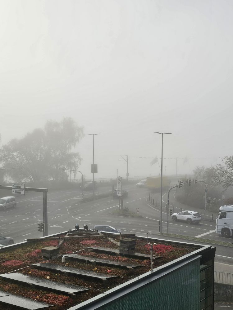 Foggy morning at Lake Constance, with the lake and distant landscape completely obscured by thick fog. The foreground shows a city street intersection and a green roof with autumn plants, while a few cars and trucks drive through the misty scene.  