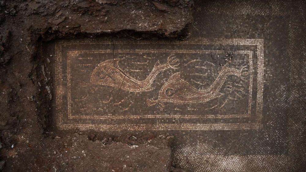 The mosaic depicting two dolphins.